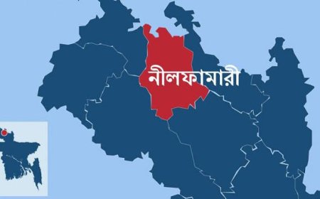 নীলফামারীতে পৃথক সড়ক দুর্ঘটনায় চারজন নিহত