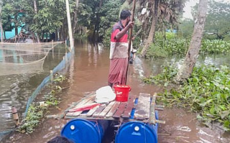 চাঁদপুরে বন্যায় ভেসে গেছে ১৬ কোটি টাকার মাছ, পানিবন্দী লক্ষাধিক মানুষ