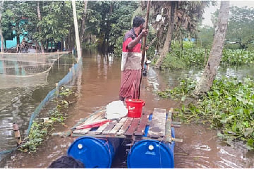 চাঁদপুরে বন্যায় ভেসে গেছে ১৬ কোটি টাকার মাছ, পানিবন্দী লক্ষাধিক মানুষ