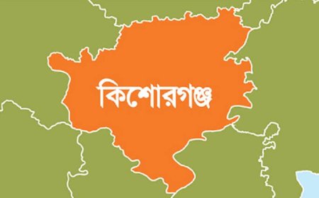 নীলফামারীর কিশোরগঞ্জে অনির্দিষ্টকালের জন্য কর্মস্থল বর্জনের ঘোষণা শিক্ষকদের