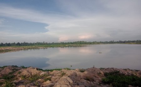 ইজারাদারের সৃষ্ট জটিলতায় তারাগঞ্জের হাতখোপা বিল