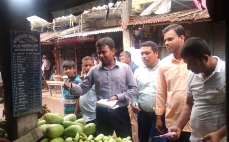 অবৈধ পলিথিন বন্ধে নওগাঁয় দুই প্রতিষ্ঠানে জরিমানা ও বাজারে লিফলেট বিতরণ