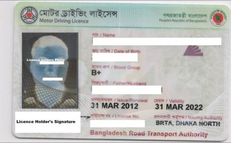 ড্রাইভিং লাইসেন্স করবেন যেভাবে, লাগবে যত টাকা