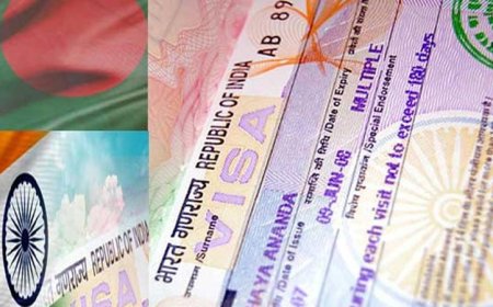 যেভাবে আবেদন করলে সহজেই পাবেন ভিসা