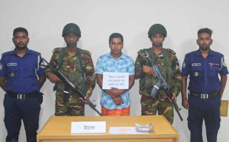 মির্জাগঞ্জে যৌথ বাহিনীর অভিযানে ইয়াবাসহ মাদক কারবারি গ্রেফতার