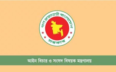 রংপুরে বিভিন্ন আদালতে পিপি ও জিপিসহ ৩৪ আইনজীবীকে সরকারি আইন কর্মকর্তা হিসেবে নিয়োগ