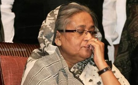 শেখ হাসিনাসহ পলাতকদের ফিরিয়ে আনতে রেড নোটিশ জারি করছে সরকার