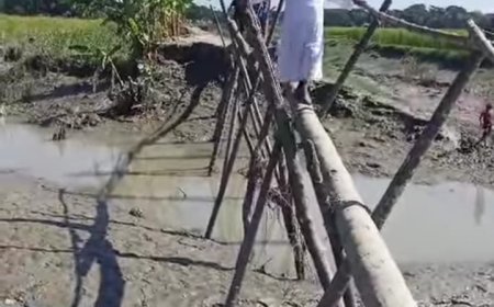 দেড় কিলোমিটার রাস্তায় ৫ টি বাঁশের সাঁকো পার করতে হয় এই অঞ্চলের মানুষের
