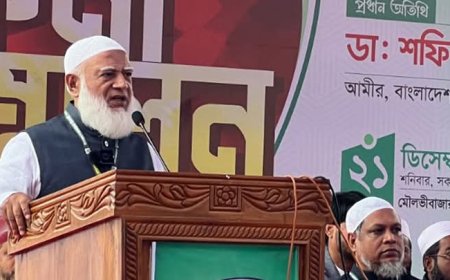 আ.লীগ দেশটাকে গোরস্থানে পরিণত করেছিল : জামায়াত আমির