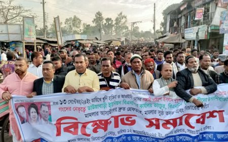 জলঢাকায় আওয়ামীলীগ সন্ত্রাসীদের গ্রেপ্তারের দাবিতে বিএনপির বিক্ষোভ সমাবেশ