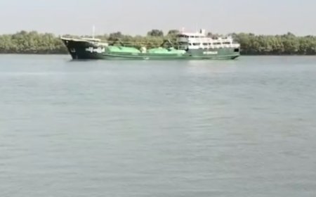 আরাকান আর্মি ৩ দিন পর ছেড়ে দিল ২ টি  কার্গো জাহাজ