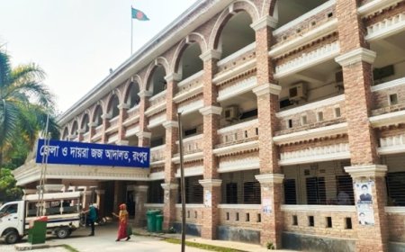 বদরগঞ্জে স্ত্রীকে হত্যার দায়ে স্বামীর যাবজ্জীবন