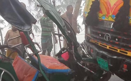 জলঢাকায় ঘন কুয়াশায় ঝড়ল ২ প্রাণ, আহত-৫