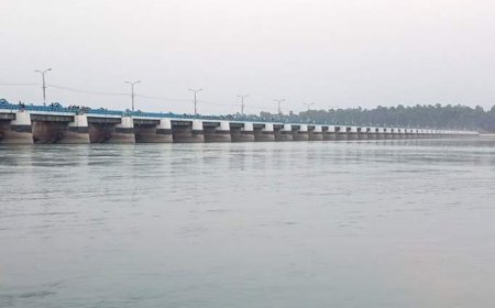 হঠাৎ তিস্তায় বেড়েছে পানি, ফসল নষ্ট হওয়ার আশঙ্কা