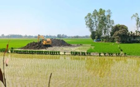 ঠাকুরগাঁওয়ে ‘গায়েবি’ মাদরাসা—‘শিক্ষক’ তালিকায় আত্মীয়স্বজন, নেই ছাত্র