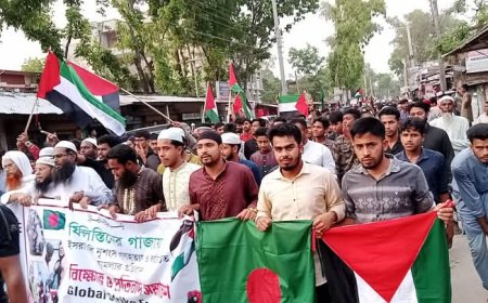 ফিলিস্তিনে গণহত্যার প্রতিবাদে ডিমলায় এক বিশাল বিক্ষোভ মিছিল