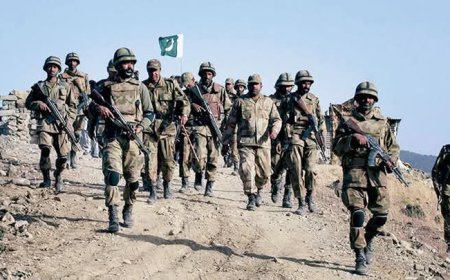 কাশ্মির সীমান্তে ভারত ও পাকিস্তানের সেনাদের মধ্যে গোলাগুলি