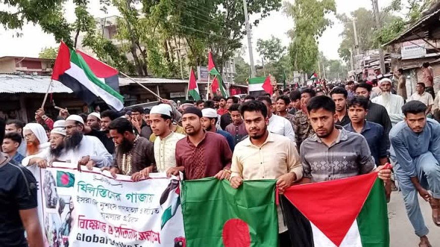 ফিলিস্তিনে গণহত্যার প্রতিবাদে ডিমলায় এক বিশাল বিক্ষোভ মিছিল