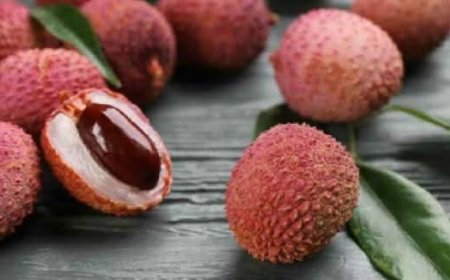 লিচুর বিচি গলায় আটকে—চার বছরের রবিউলের মর্মান্তিক মৃত্যু