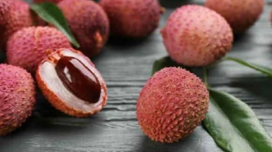 লিচুর বিচি গলায় আটকে—চার বছরের রবিউলের মর্মান্তিক মৃত্যু