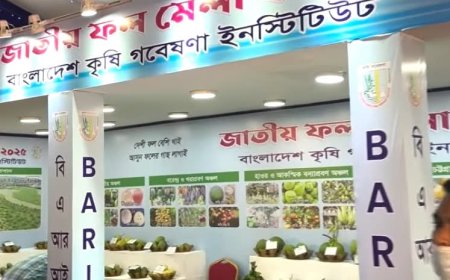 ৩ দিনব্যাপী জাতীয় ফল মেলা শুরু