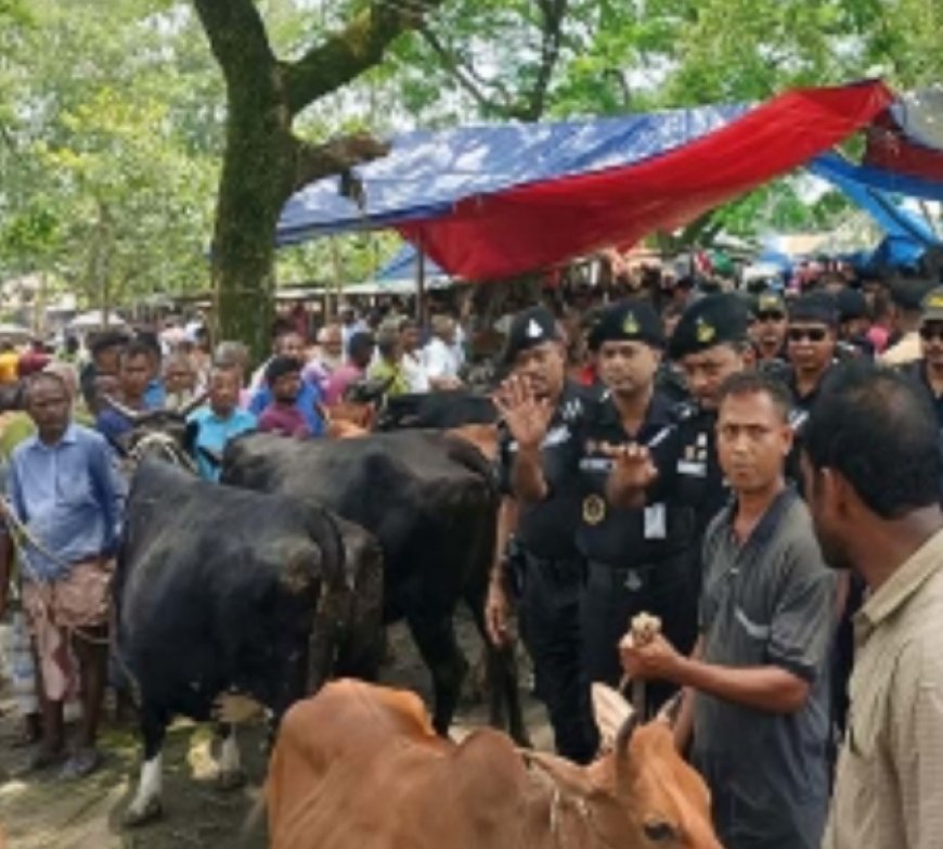 নীলফামারীর হাটবাজারে জননিরাপত্তা নিশ্চিতে র‌্যাবের কঠোর নজরদারি, জাল টাকা রোধে বুথ স্থাপন