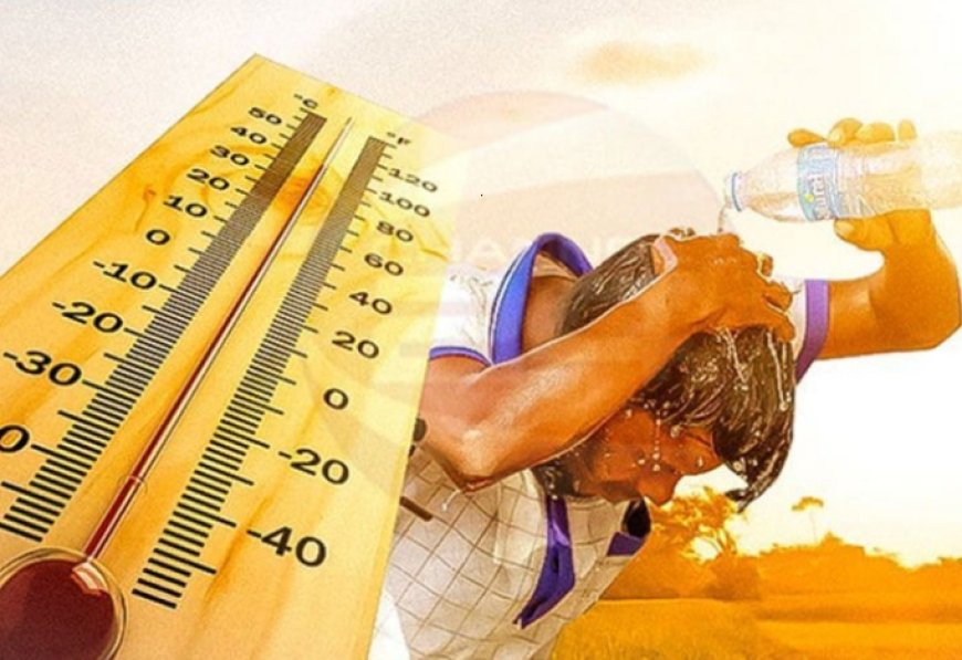 ডিমলায় দেশের সর্বোচ্চ তাপমাত্রা রেকর্ড, জনজীবন ভোগান্তিতে