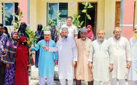 জলঢাকায় বৃক্ষরোপণ ও চারা বিতরণ