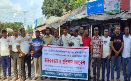 সাংবাদিক স্বপ্নার ওপর হামলার প্রতিবাদে ডিমলা রিপোর্টার্স ইউনিটির মানববন্ধন