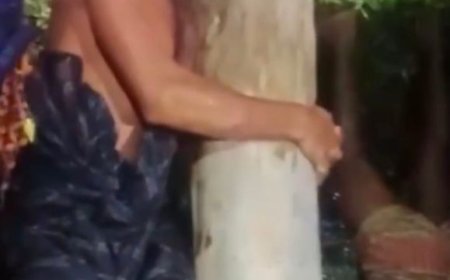 ডিমলায় চোর সন্দেহে গাছের সাথে উল্টো করে ঝুলিয়ে পিটানোর অভিযোগ