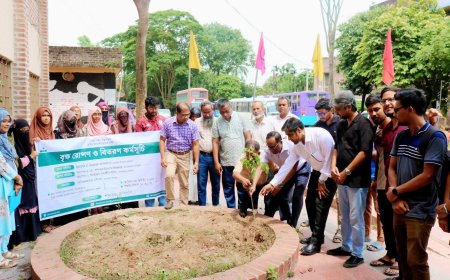 হাবিপ্রবিতে শস্যবৃত্ত-এর আয়োজনে বৃক্ষ রোপণ ও বিতরণ কর্মসূচি অনুষ্ঠিত