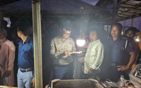 ডিমলায় পিরানহা ও আফ্রিকান মাগুর বিক্রির অপরাধে ৩ মাছ বিক্রেতাকে অর্থদণ্ড