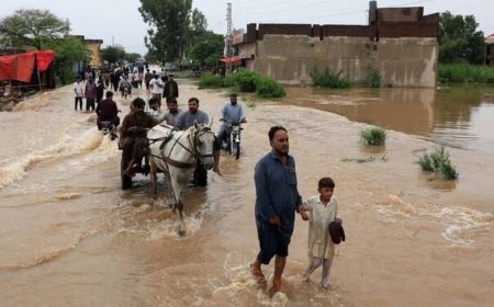 ভারত পানি ছাড়ায় চার দশকের মধ্যে সবচেয়ে ভয়াবহ বন্যা পাঞ্জাবে
