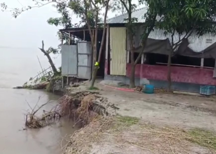 ডিমলায় তিস্তাপাড়ের গ্রামগুলো আবারও ভয়াবহ নদীভাঙনের কবলে