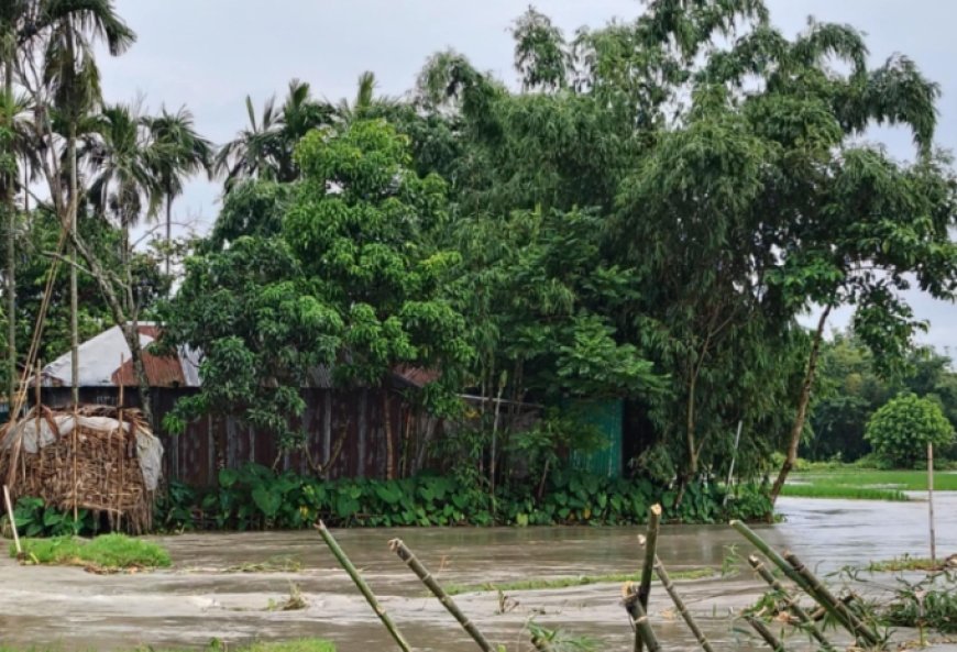 ডিমলায় তিস্তার পানি বেড়ে যাওয়ায় হাজার হাজার মানুষ পানিবন্দি