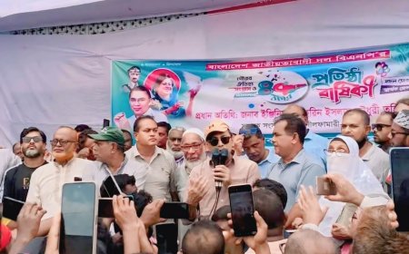 বিএনপির ৪৭তম প্রতিষ্ঠাবার্ষিকী উপলক্ষে ডিমলায় বর্ণাঢ্য র‍্যালি ও আলোচনা সভা