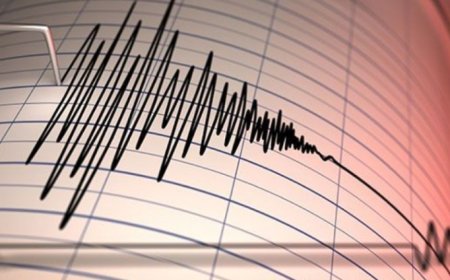 নীলফামারীর ডিমলায় ভূমিকম্প অনুভূত