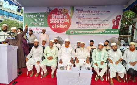 প্রত্যেকটি ভোটের মূল্যায়নে পিআর পদ্ধতির বিকল্প নেই - অধ্যাপক মুজিবুর রহমান