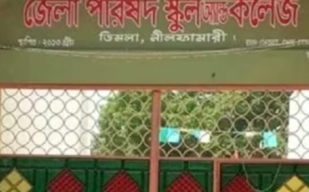 ডিমলা জেলা পরিষদ স্কুল অ্যান্ড কলেজসহ কয়েকটি কলেজে পাস করেনি কেউ