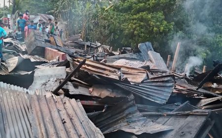 রামগতিতে আগুনে পুড়ল ১০ দোকান, অর্ধকোটি টাকার ক্ষতি