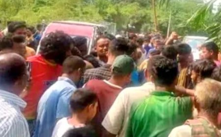 ডিমলা গয়াবাড়ীতে পিকআপের ধাক্কায় সড়ক দুর্ঘটনায় নানিসহ নাতনি নিহত