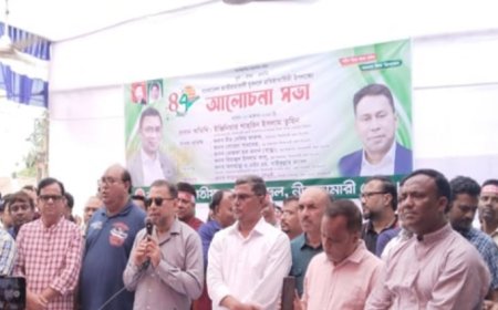 নীলফামারীতে যুবদলের ৪৭তম প্রতিষ্ঠাবার্ষিকীতে র‌্যালি ও আলোচনা সভা