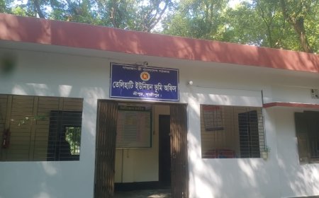 তেলিহাটি ইউনিয়ন ভূমি সহকারীর বিরুদ্ধে ঘুষ দাবির অভিযোগ