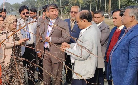 দেশের কৃষকরাই সত্যিকার অর্থে কৃষি বোঝেন: দিনাজপুরে কৃষি সচিব