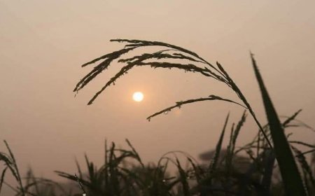 জলবায়ু পরিবর্তনে উত্তরাঞ্চলে অস্বাভাবিক আবহাওয়া