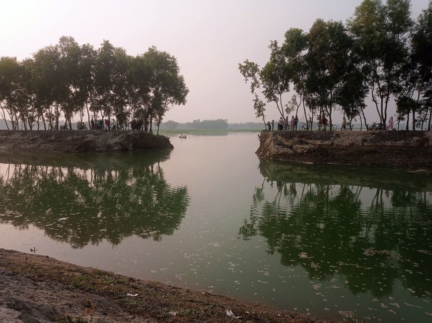 নীলফামারীতে তিস্তা সেচ খালের বাঁধ ভেঙে জমির ফসল নষ্ট