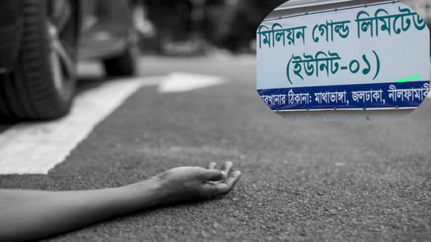 জলঢাকায় কর্মস্থলে যাওয়ার পথে সড়ক দুর্ঘটনায় নারী শ্রমিকের মৃত্যু